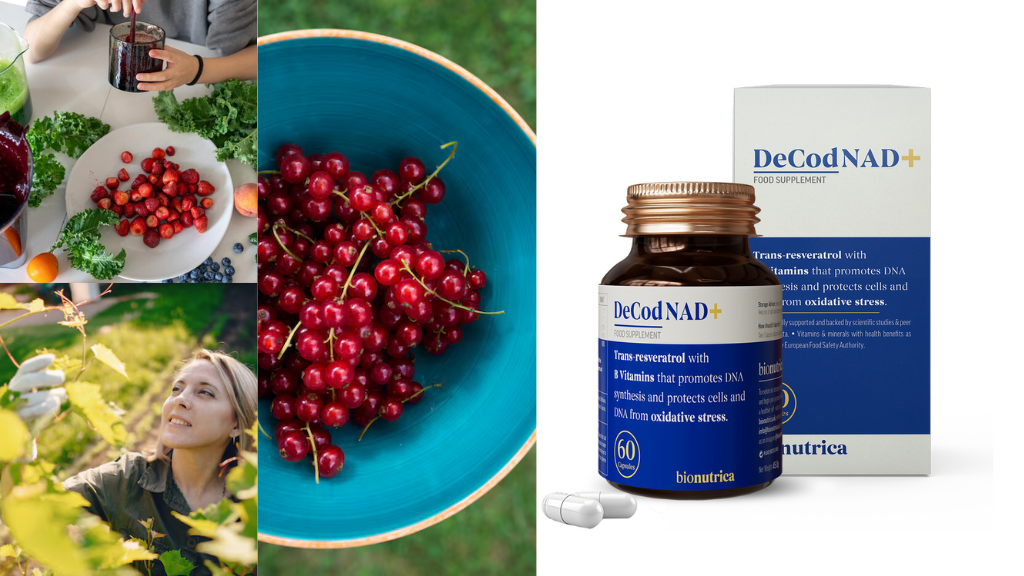 Best Resveratrol supplement uk