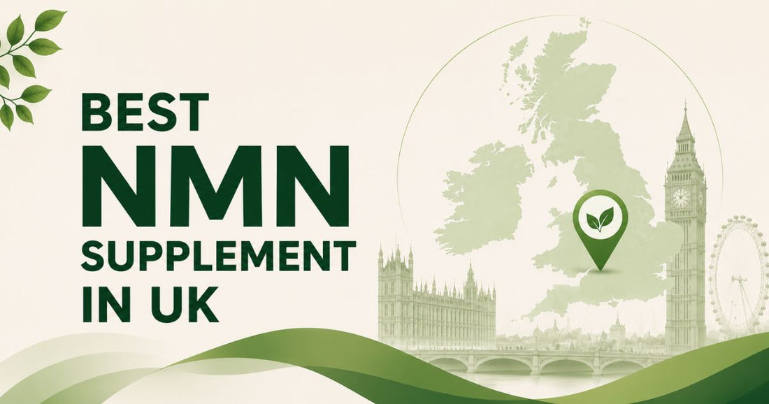 Best NMN Supplement in UK