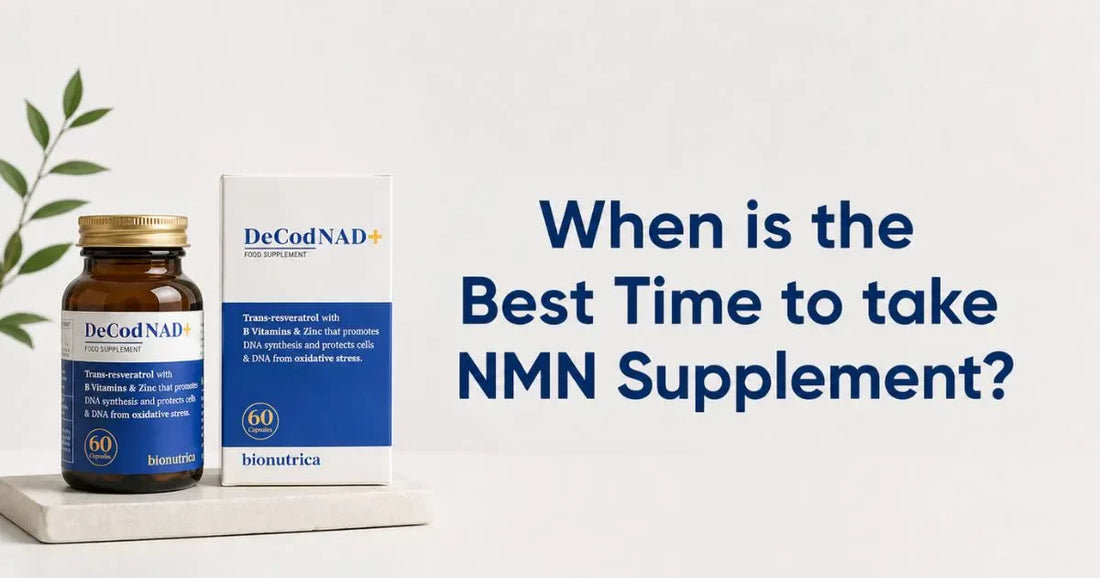 Best time to take NMN Supplement