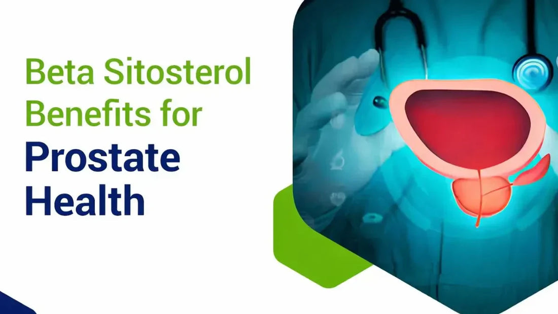 Beta Sitosterol Benefits for Prostate Health