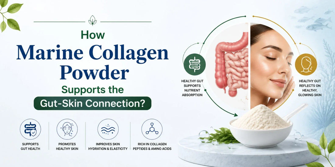 How Marine Collagen supports Gut and Skin Connection