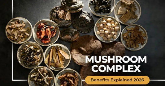 Mushroom Complex Benefits Explained in 2026