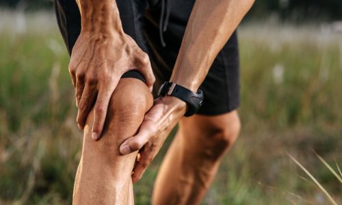 Supplement for joint pain