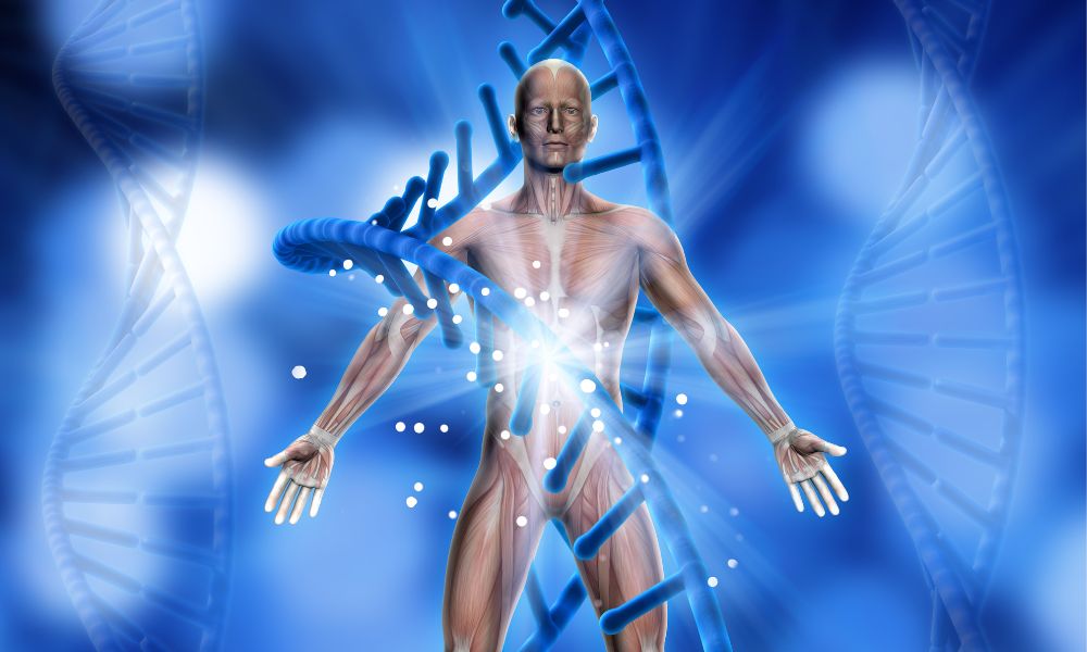 NNAD+ Role in Cellular Respiration and Aging
