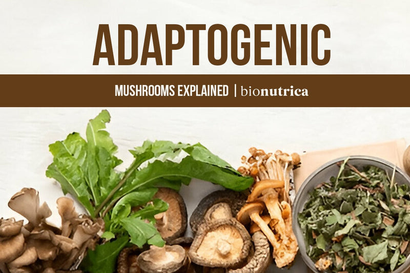 adaptogenic herbs and mushrooms