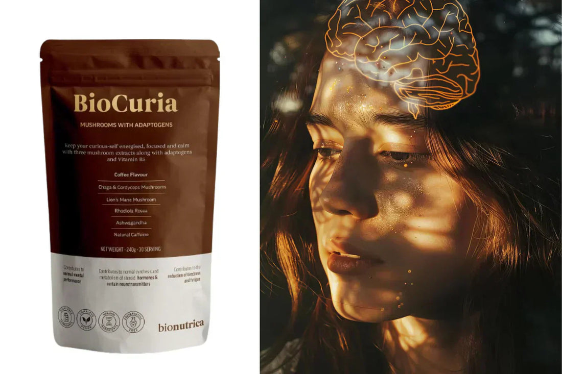 best supplements for cognitive function