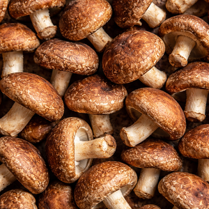 Functional Mushrooms