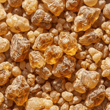Boswellia Serrata Extract