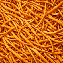Cordyceps Mushroom