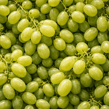 Grape Seed Extract