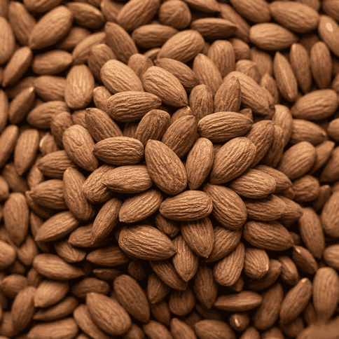 Riboflavin (Vitamin B2)