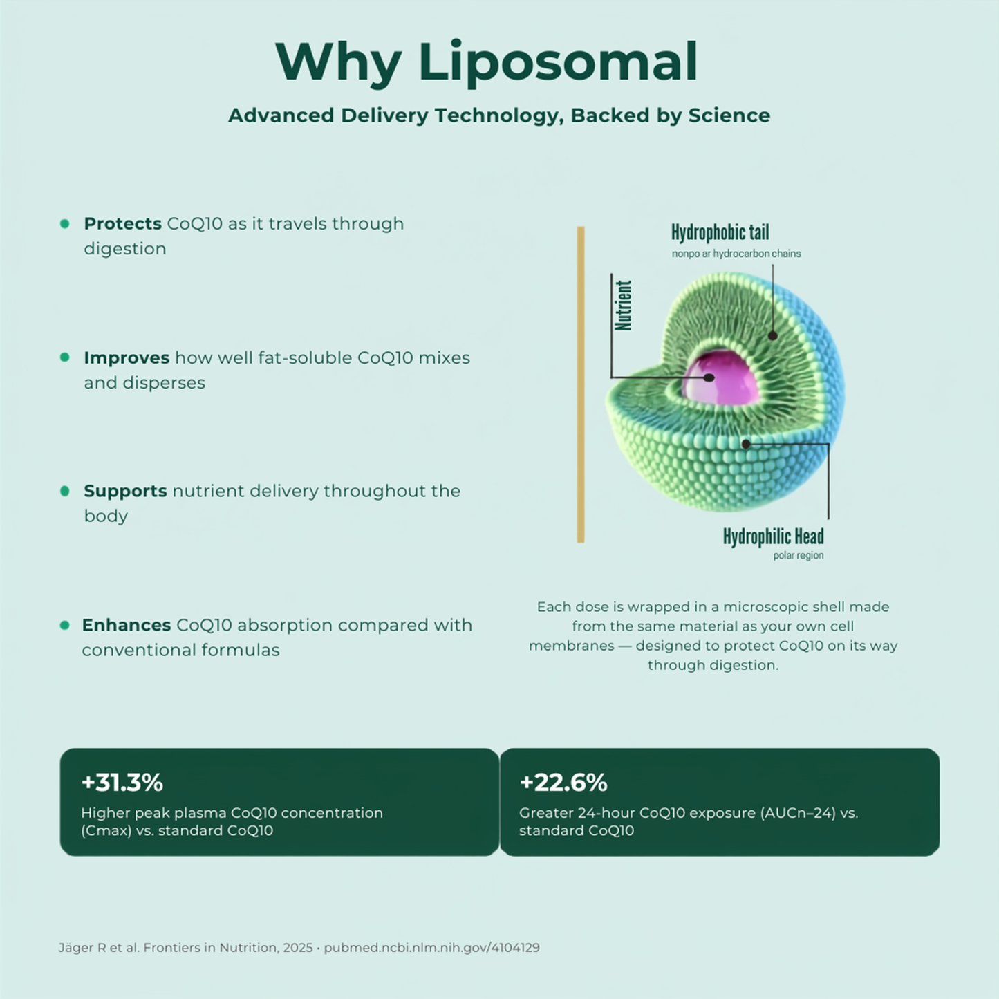 LipoQel