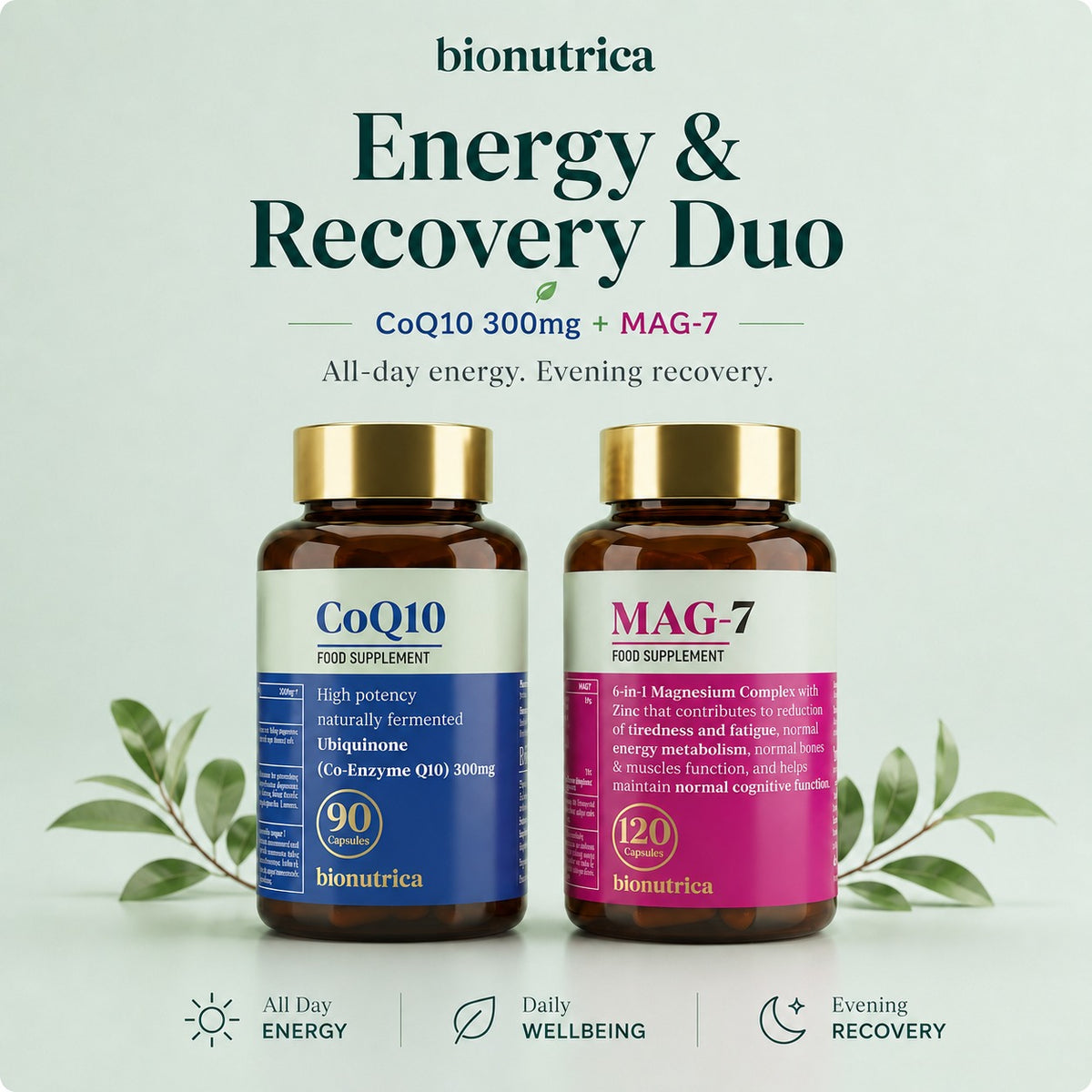 Energy & Recovery Duo