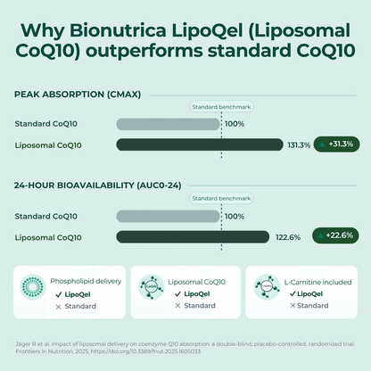LipoQel