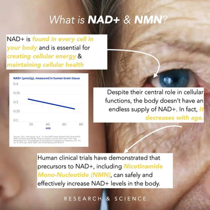 What is NAD+ and NMN – How Nicotinamide Adenine Dinucleotide Slows Ageing