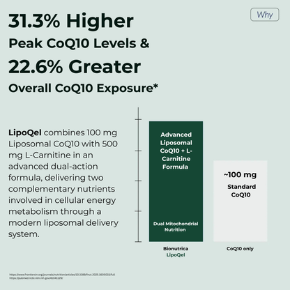 LipoQel